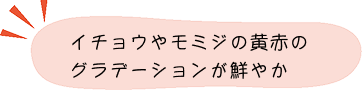 紅葉ポイント