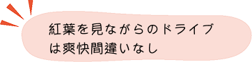 紅葉ポイント