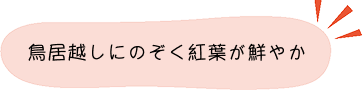 紅葉ポイント