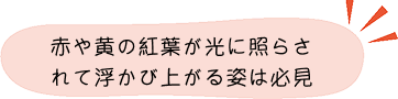 紅葉ポイント