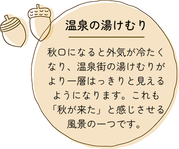 秋のポイント