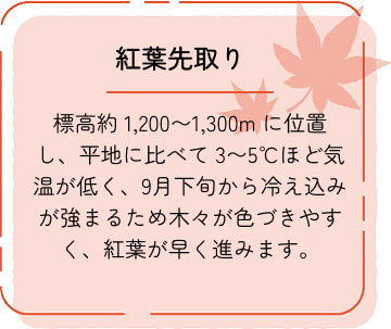 秋のポイント