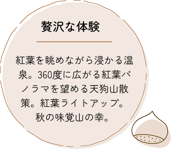 秋のポイント